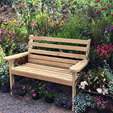  Buy annuals and perennial plants from Ash Moor Nursery, South Molton, North Devon