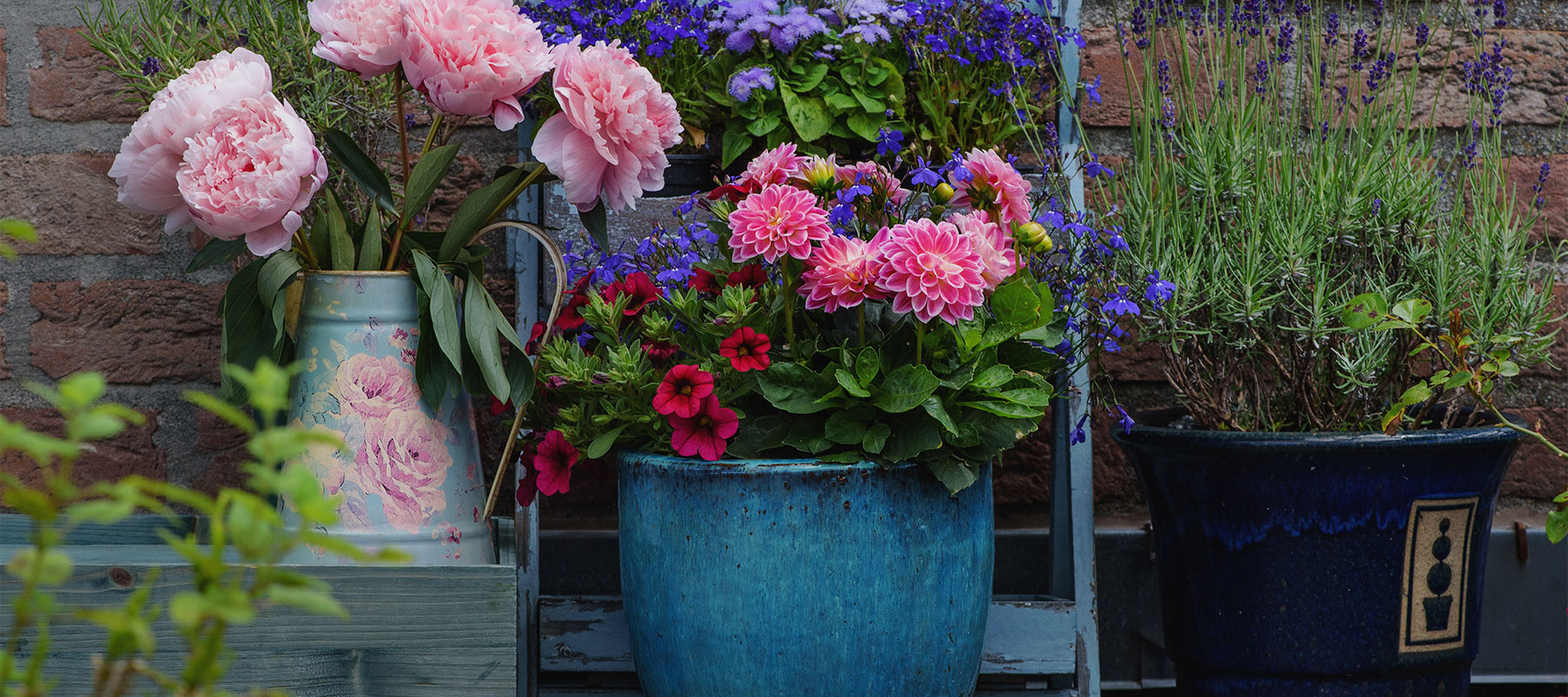 Glazed earthenware garden pots of all sizes are available at Ash Moor Nursery