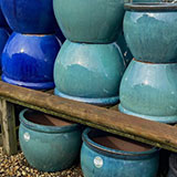 Glazed frost safe garden pots from Ash Moor Nursery, South Molton, North Devon