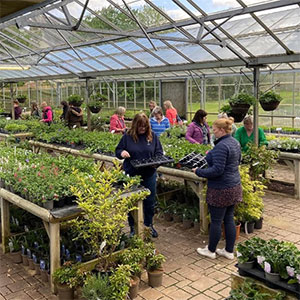  Gardening Courses: Hanging Basket Workshop at Ash Moor Nursery, South Molton, North Devon